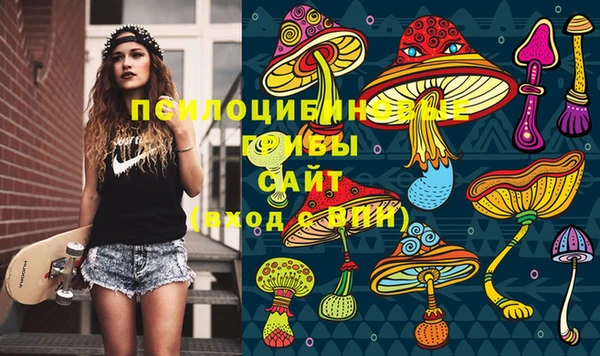 дживик Заводоуковск