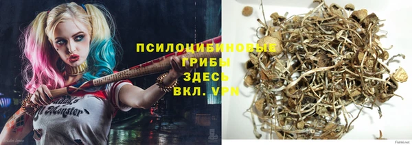 mdpv Заволжье