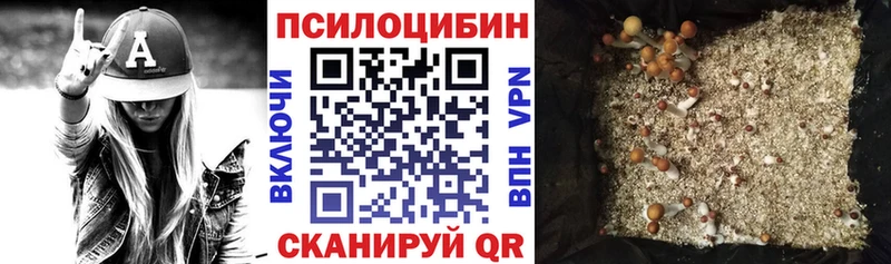 Купить Новоуральск Галлюциногенные грибы прущие грибы