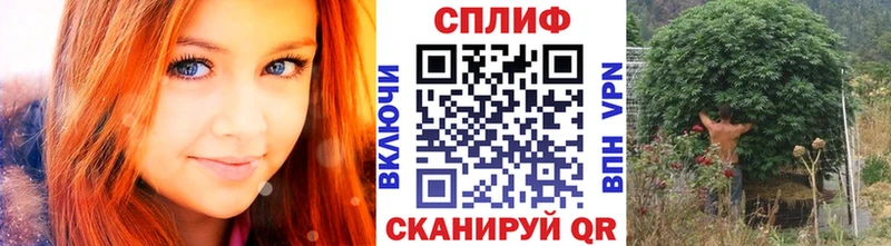 Бошки Шишки семена  Купить  Новоуральск 